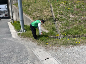 Image0_8