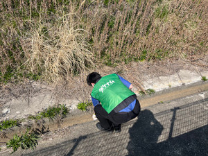 Image7_2