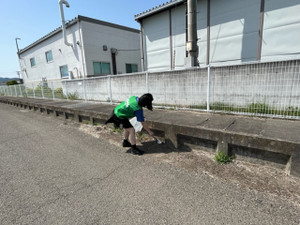 Image8_5