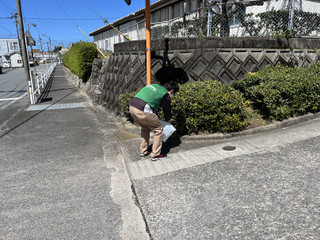 Photo_22