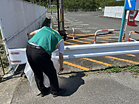 Photo_29