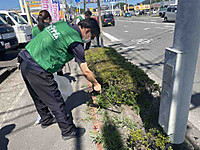 Photo_32