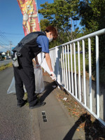 Photo_3