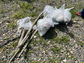 Photo_11