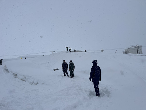 Photo_3