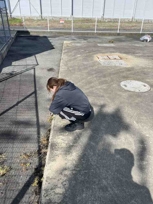 Photo_9