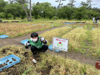 Photo_2