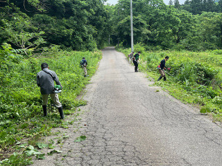 Image1