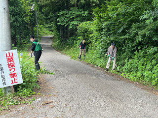 Image4