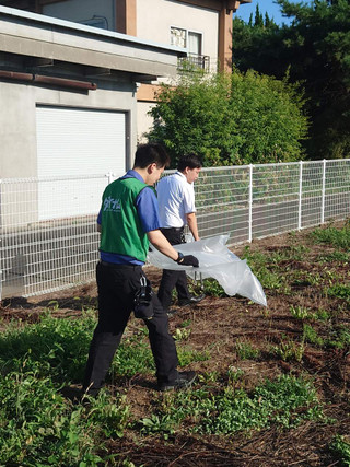 Photo_8