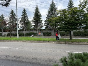 Photo_15