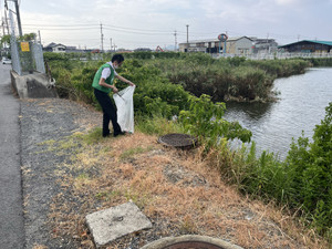 Photo_3