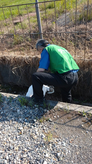 Photo_10
