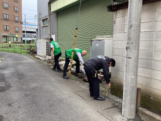 Photo_24