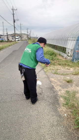 Photo_6