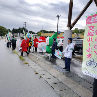 Photo_5