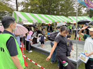 Photo_34