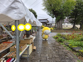 A_a0003291_20251005_143058_746 A_a0003291_20251005_143058_746