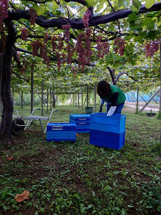 Am_20251003_110949_505 Am_20251003_110949_505