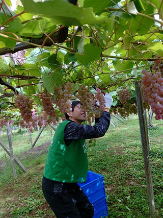 Am_20251003_110950_684 Am_20251003_110950_684