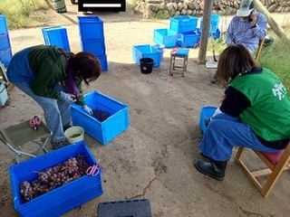 Am_20251003_110954_976 Am_20251003_110954_976