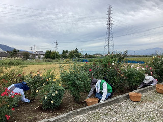 Img_0213_2 Img_0213_2