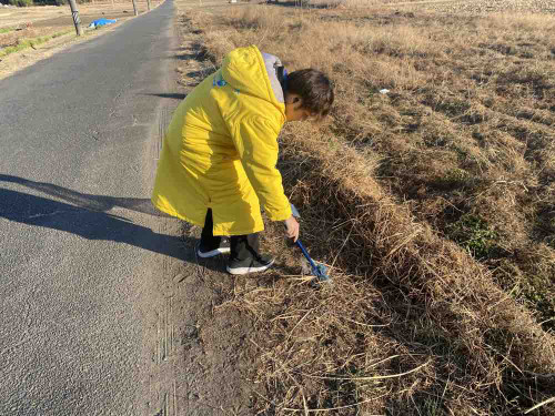 B0ea187303734f13b83c2b056f28c0cd176