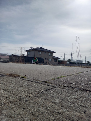 Am_20260220_120521_70