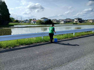 Photo_3