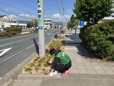 Photo_2