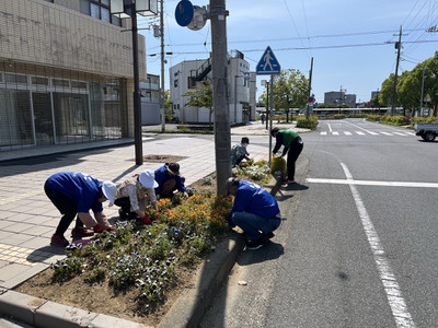 Photo_3