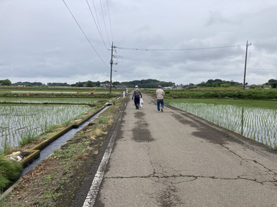Sm_20260524_092019_44