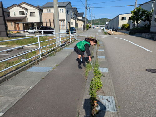 Photo_3