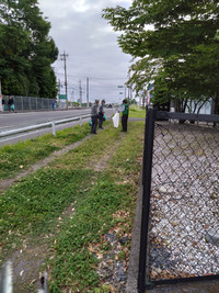 Smt_20260607_074504_891_2 Smt_20260607_074504_891_2