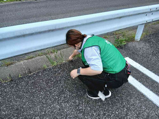 Photo_15
