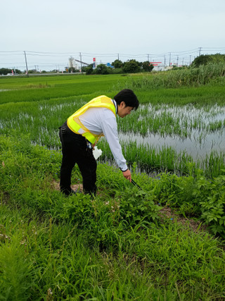 Photo_16