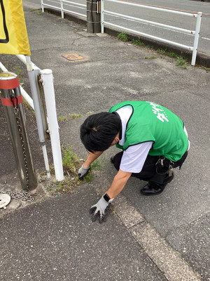Photo_14