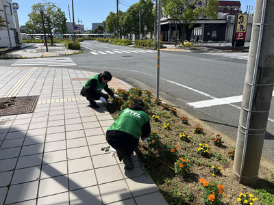 Photo_2