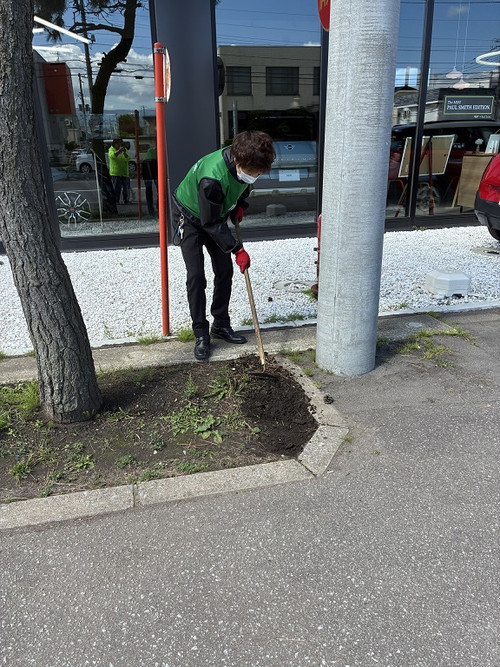 Photo_3