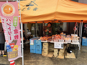 Photo Photo