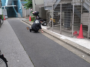 Photo_5