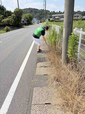 Photo_5
