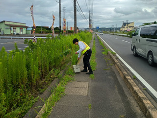 Photo_11