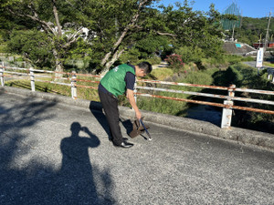 Photo_7