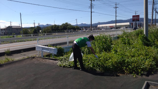 Photo_17