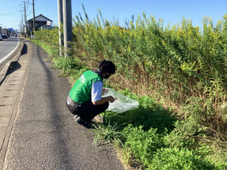 Photo_34